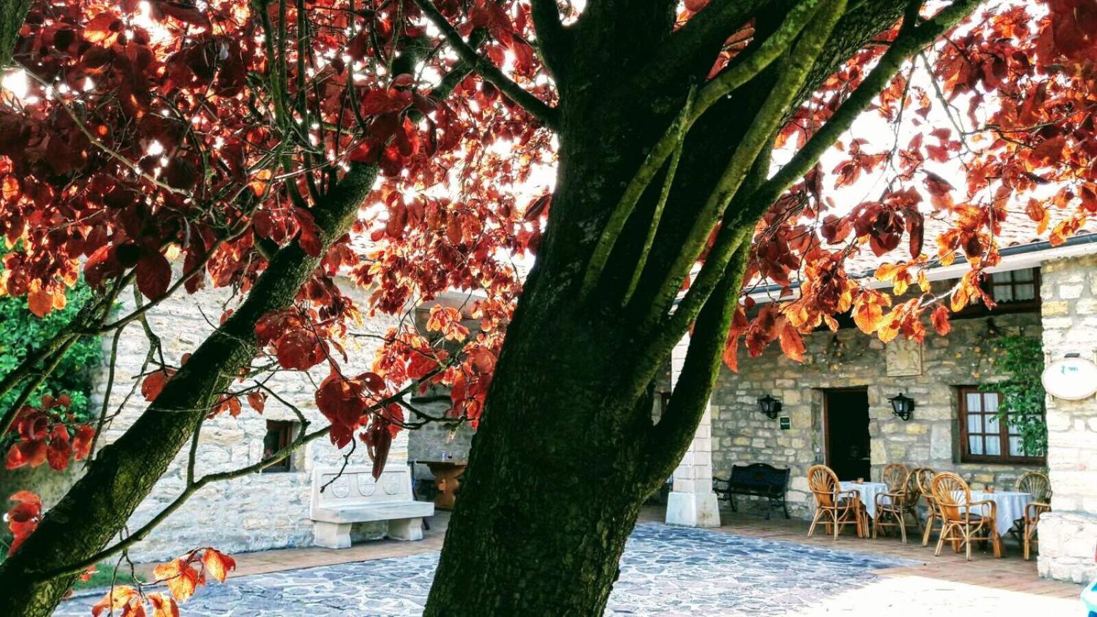 Posada Paz 히노예도 외부 사진
